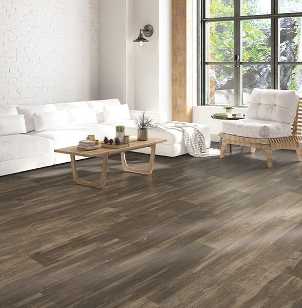 b44609af3a0fa75d6abad0b959fbd81c7f3652d8 e1769630561196 | General Floor